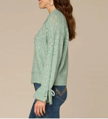 Long Flounce Sleeve V-Neck Collar Placement Pointelle Stitch Sweater